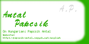 antal papcsik business card